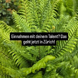 Einnahmen mit deinem Talent? Das geht jetzt in Zürich!